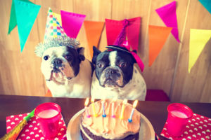 Starke geburtstag spruch frau Sprüche zum